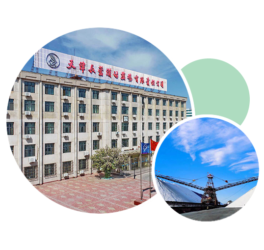 五大優勢
